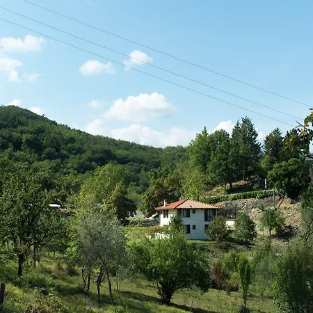 Spacious In With Private Pool Holiday home *